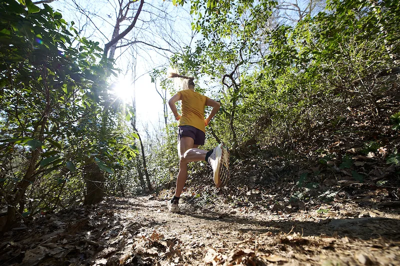 Runner moving along a sunlit forest trail